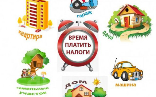 Не позднее 1 декабря нужно уплатить имущественные налоги